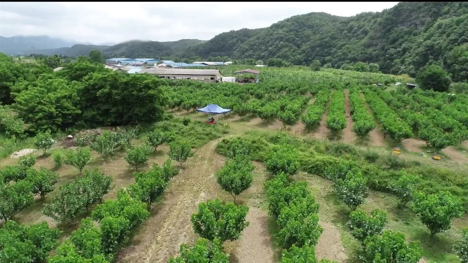 0735-ikvenft0226274 0735-ikvenft0226274