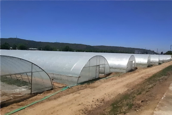 PO Agricultural Film