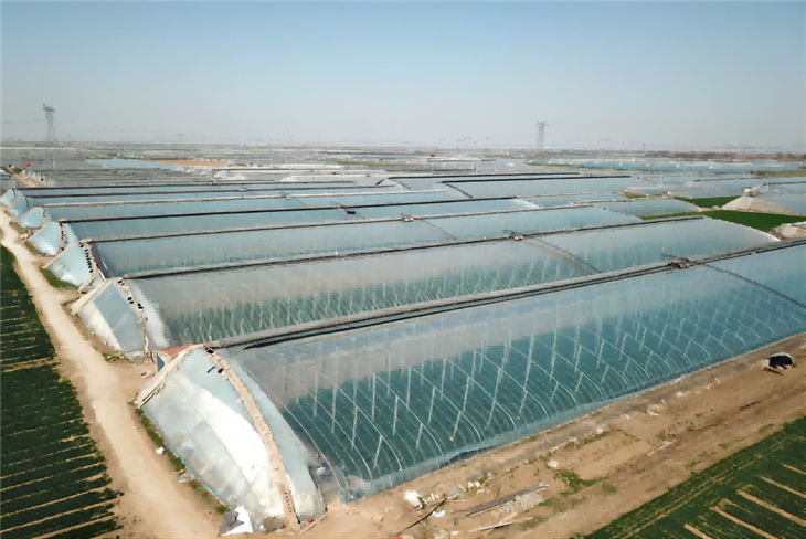 PO Agriculture Greenhouse Plastic Film