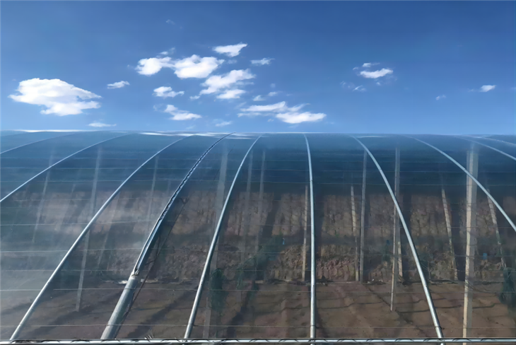 PO Greenhouse Plastic Film For Shine-Muscat Grape